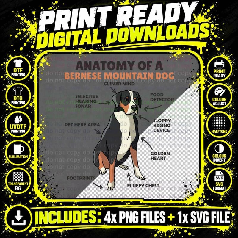 Anatomy of a Bernese Mountain Dog Cute Dogs Funny Dog Png SVG Digital Bundle