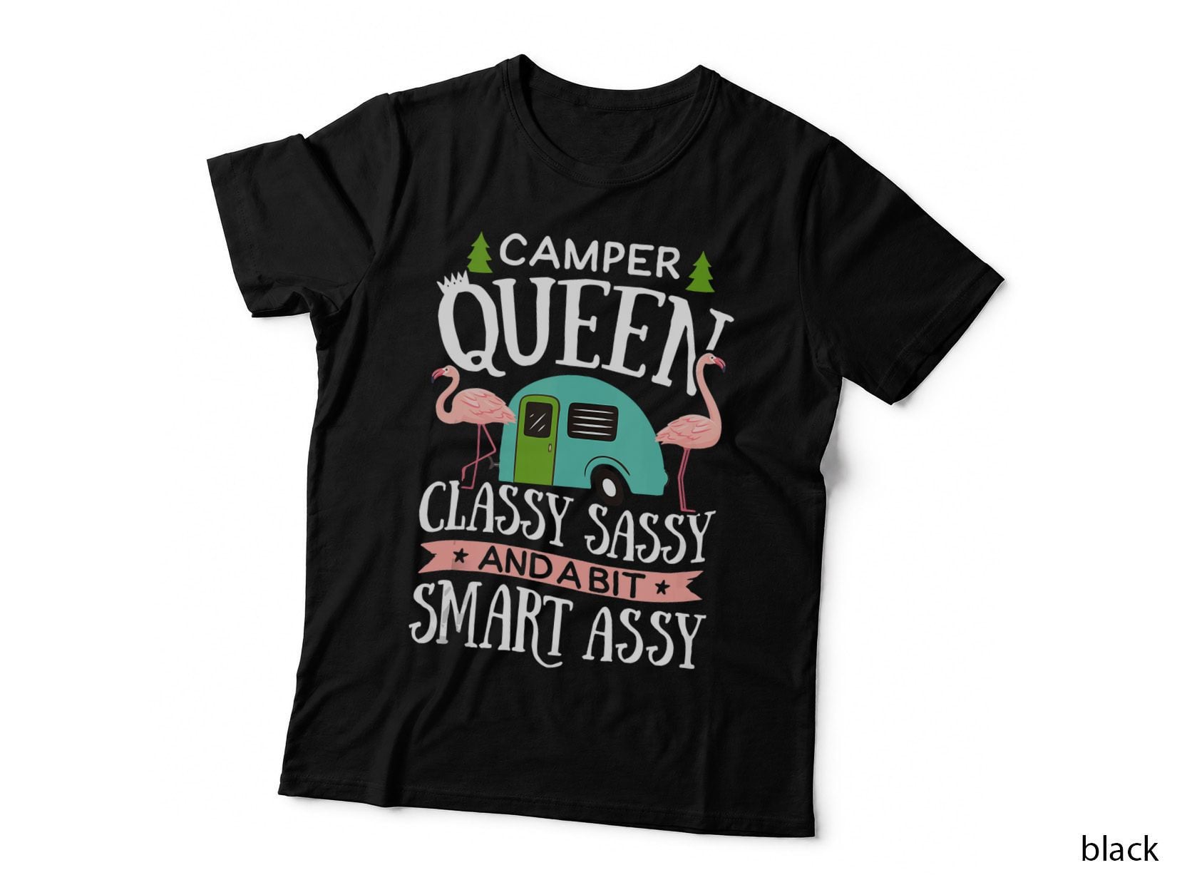 Camper Queen Classy Sassy Smart Funny Girls Camping RV Caravan T-Shirt
