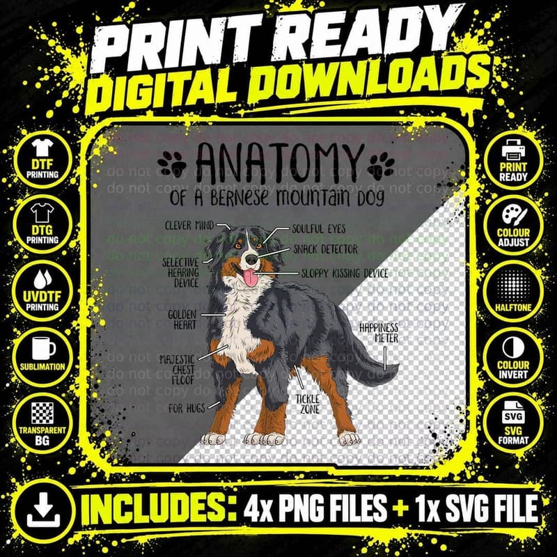 Funny Anatomy Bernese Mountain Dog Berner Lover T-Shirt Png SVG Digital Bundle