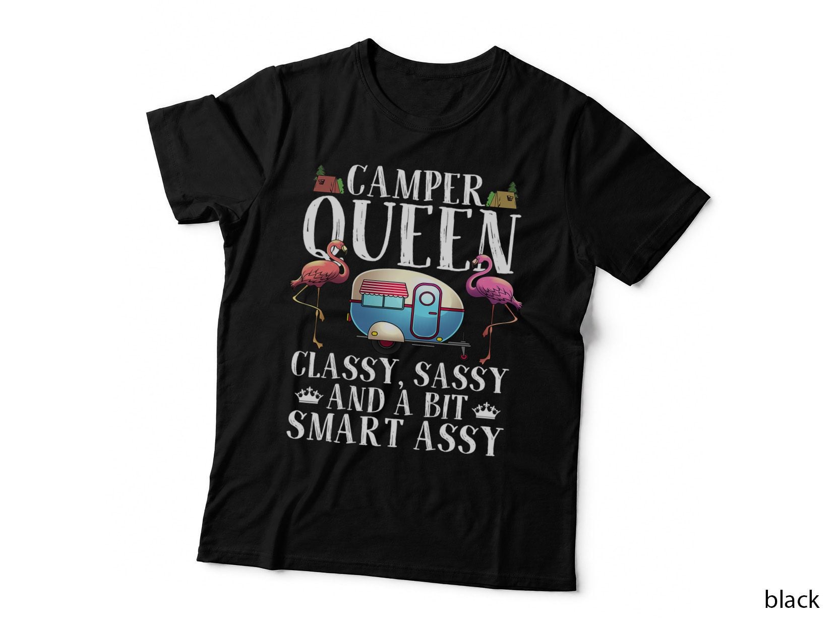 Funny Camper Queen Sassy Gift for Women RV Camping Lovers T-Shirt