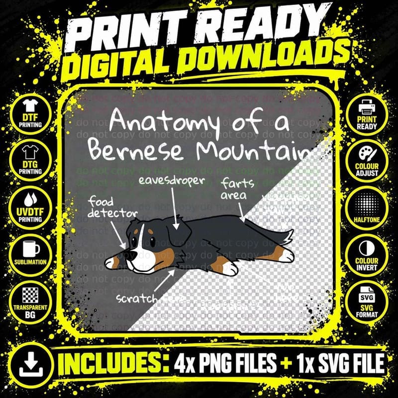 Anatomy of a Bernese Mountain Dog T-Shirt Png SVG Digital Bundle