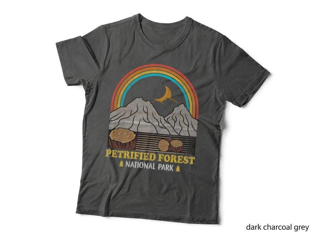 Petrified Forest National Park Vintage 70s 80s Camping T-Shirt