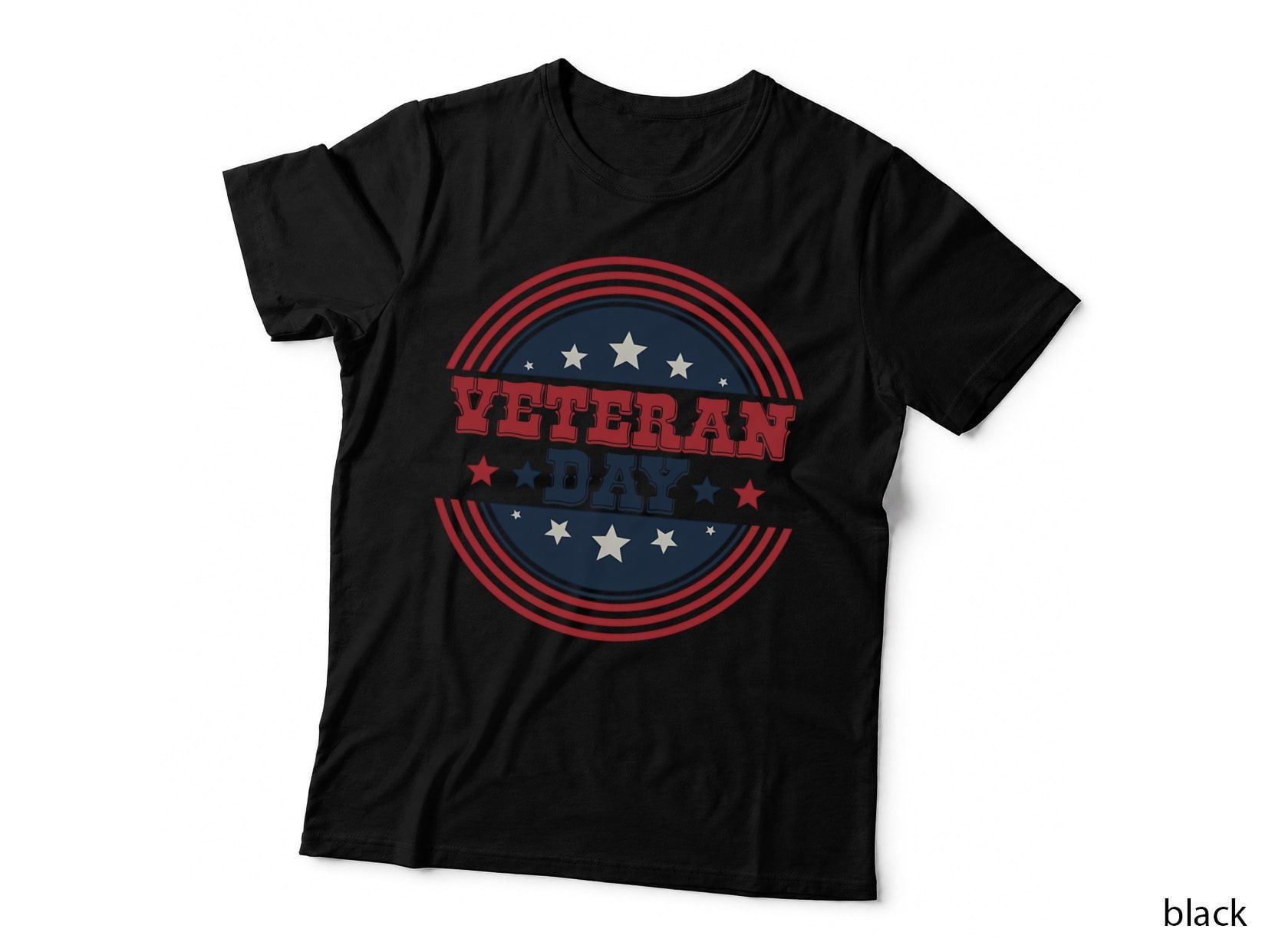 Veteran Day Patriotic T-Shirt, Patriotic Veteran Day Celebration Graphic Tee