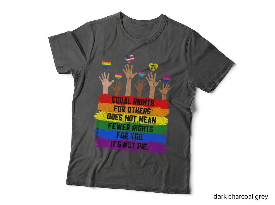 Equal Rights for Others Its Not Pie LGBT Flag LGBTQ Rainbow T-Shirt