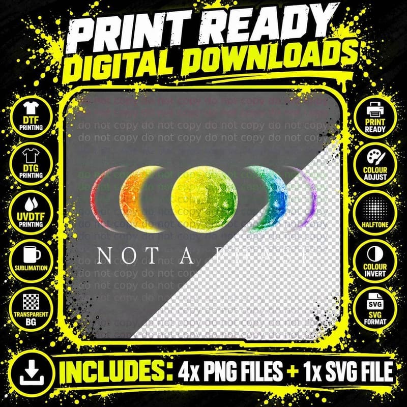 Gay Lesbian Not a Phase Moon Phase LGBT Pri Png SVG Digital Bundle
