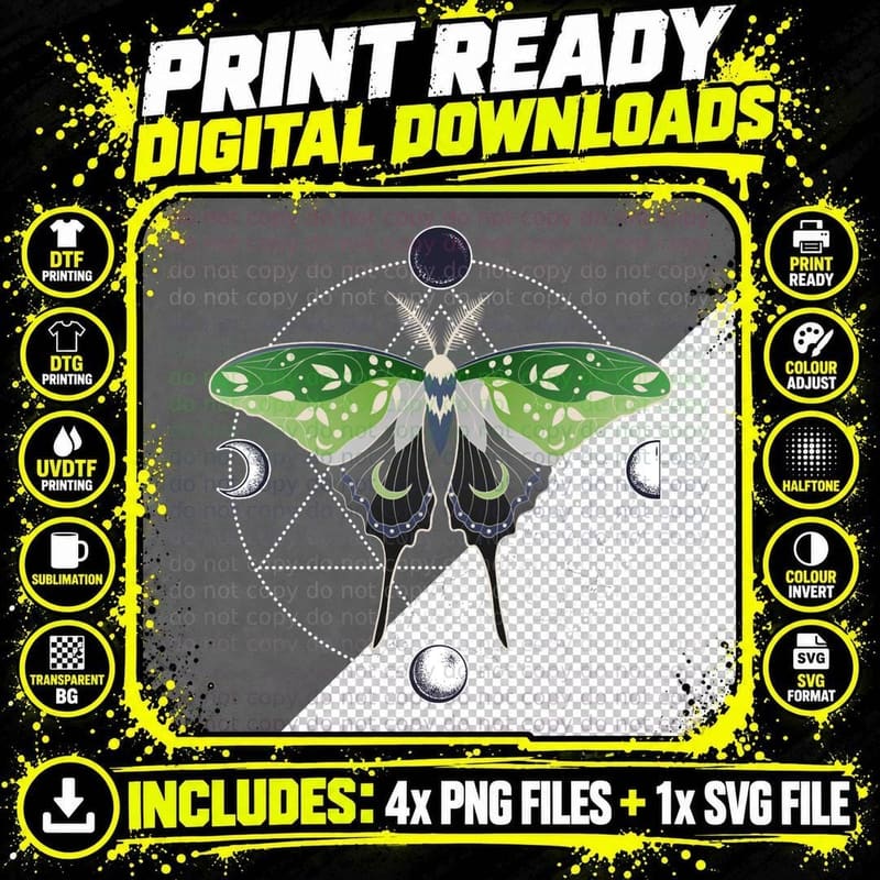 Aromantic Luna Moth Celestial Cottagecore LGBT Pride Png SVG Digital Bundle