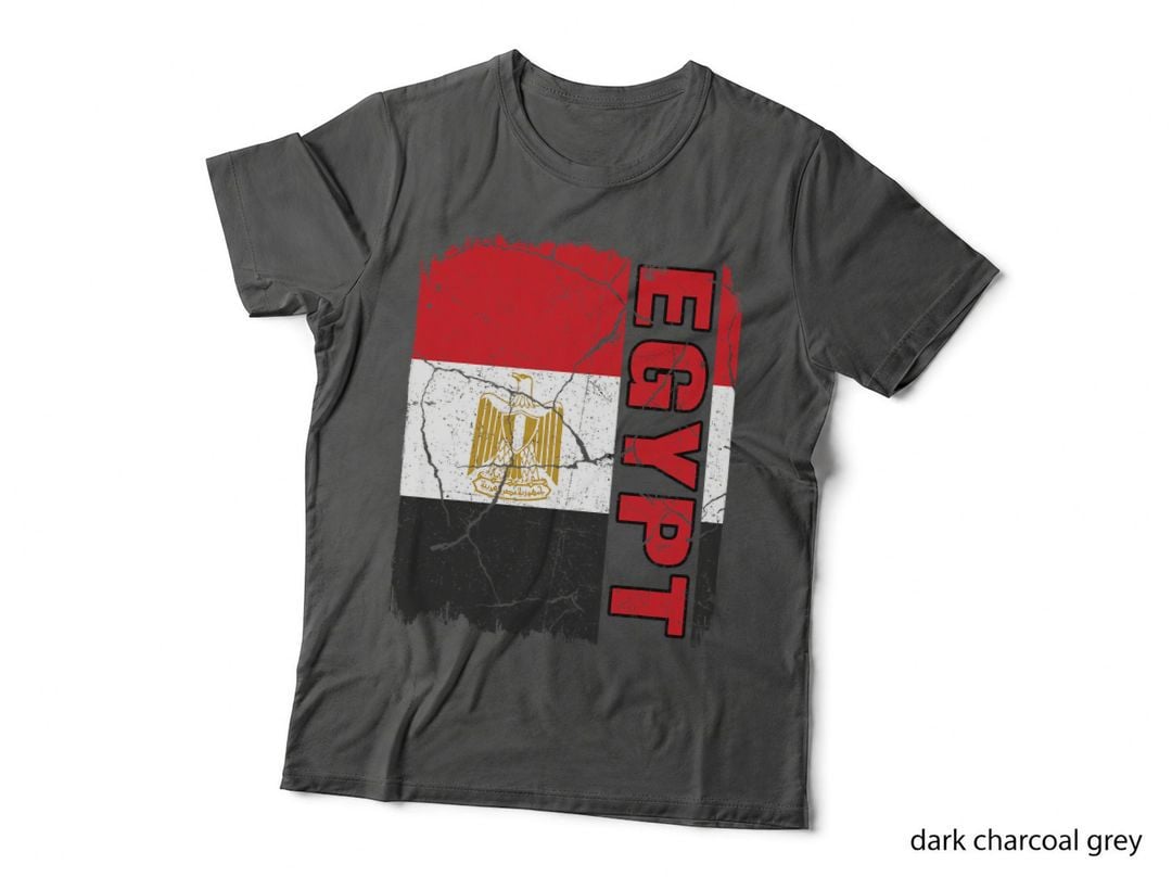 Vintage Egyptian Flag Egypt Pride Roots Heritage Gift T-Shirt
