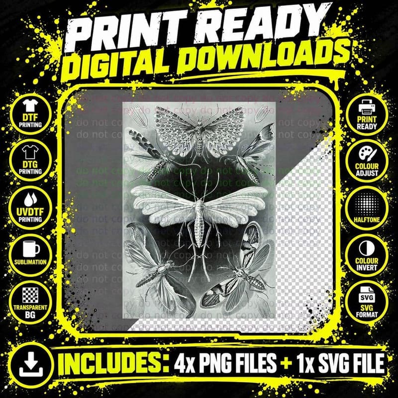 Moth Vintage Mystical Goth Insect Aesthetic Illustration Png SVG Digital Bundle
