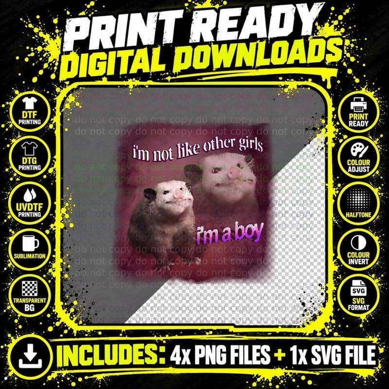 I& 39, M Not Like Other Girls, I& 39 Png SVG Digital Bundle