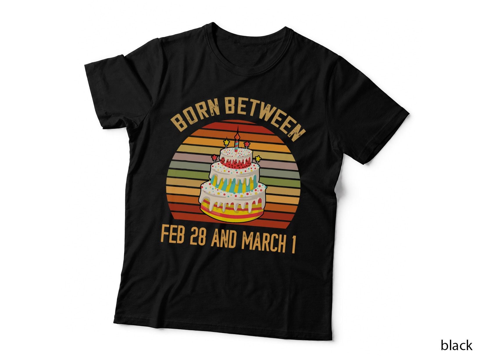 Leap Year Retro Born Between Leap Year Birthday Leap Day T-Shirt