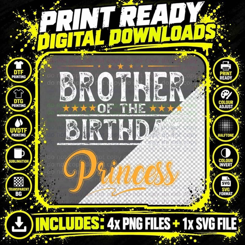 Brother of the Birthday Princess Vintage T-Shirt Png SVG Digital Bundle
