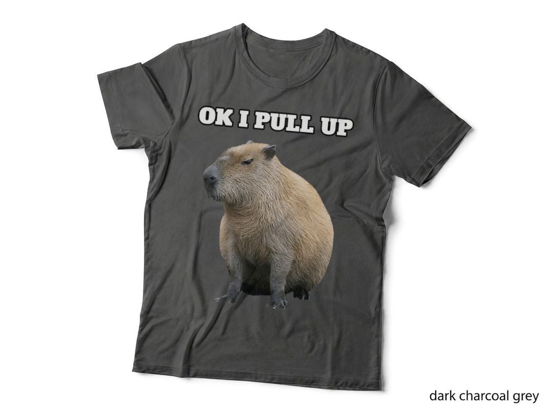 Ok I Pull up Capybara Black T-Shirt - Classic Fit, Crew Neck, Cap Sleeve