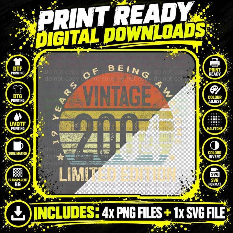 Vintage 2004 Limited Edition 22 Years Old Gifts T-Shirt Png SVG Digital Bundle