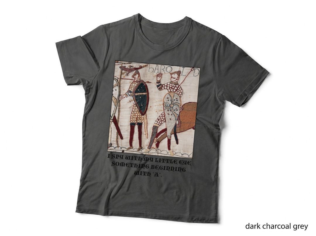 Bayeux Tapestry I Spy T-Shirt, Vintage Retro, History Enthusiast Gift