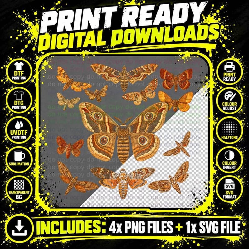 Vintage Moth Collection T-Shirt Entomology Cottagecore Png SVG Digital Bundle