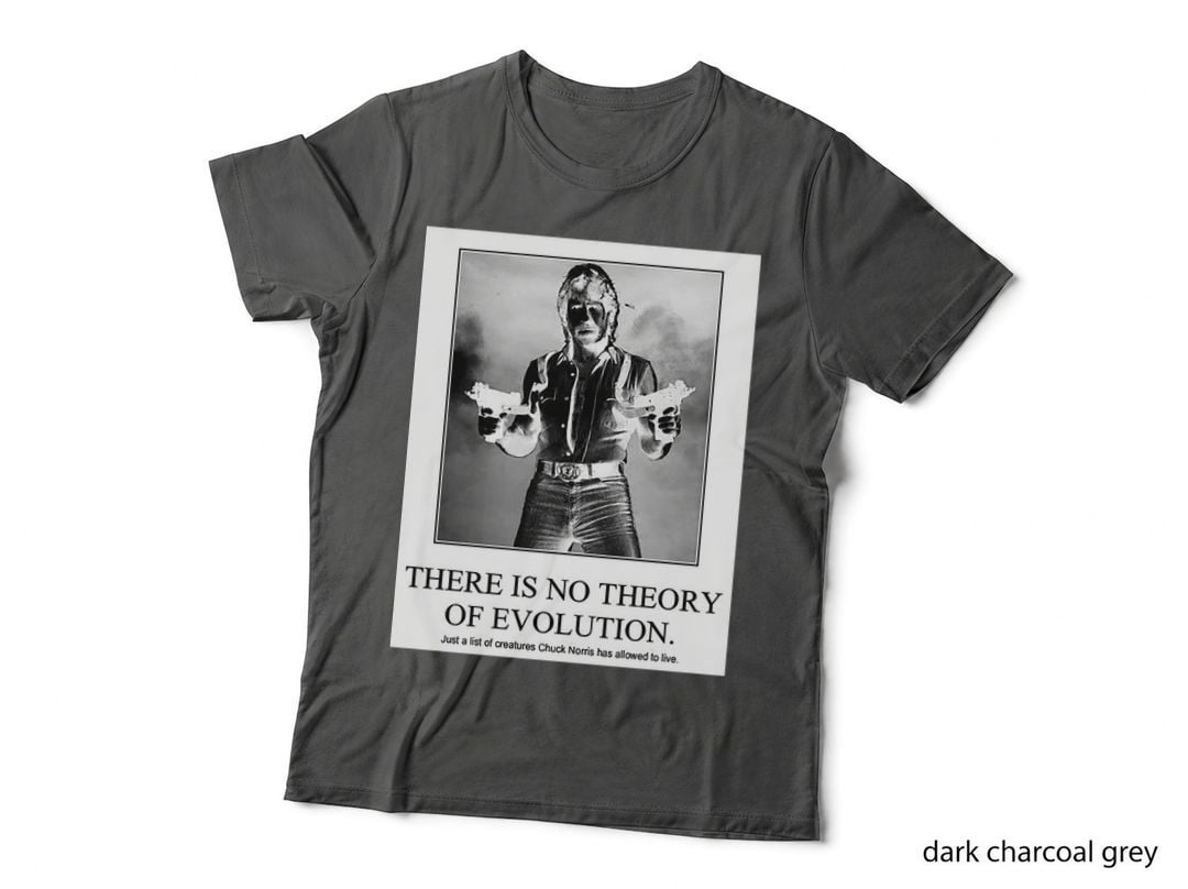 Chuck Norris Fact Classic Essential T-Shirt