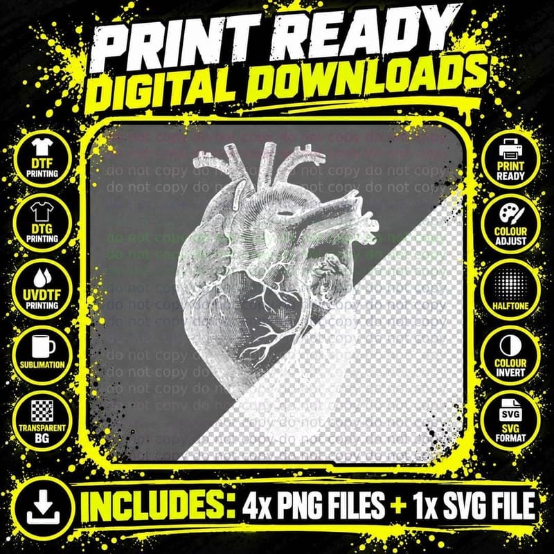 Vintage Heart Anatomy T-Shirt Png SVG Digital Bundle