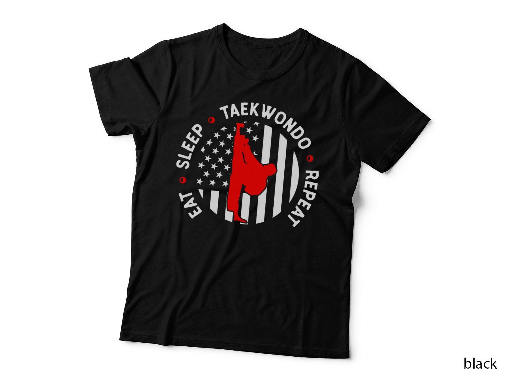 Eat Sleep Taekwondo Repeat Retro Martial Arts Training Gifts T-Shirt