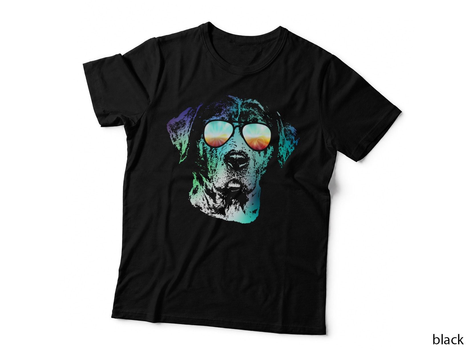 Disco Groovy Catahoula Cur Hoodie Gift, Pet Owner, Retro Style T-Shirt