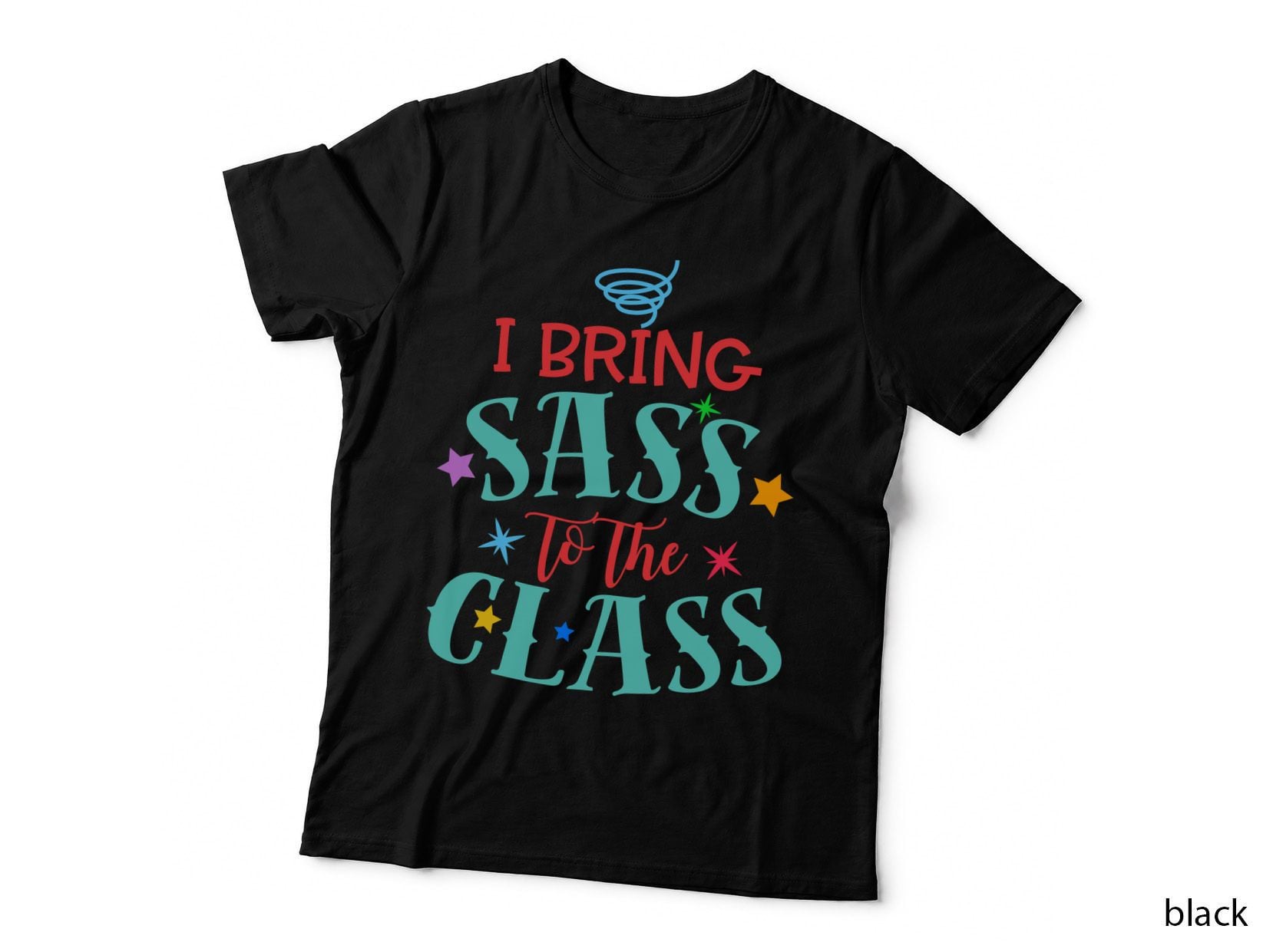 I Bring Sass to the Class T-Shirt
