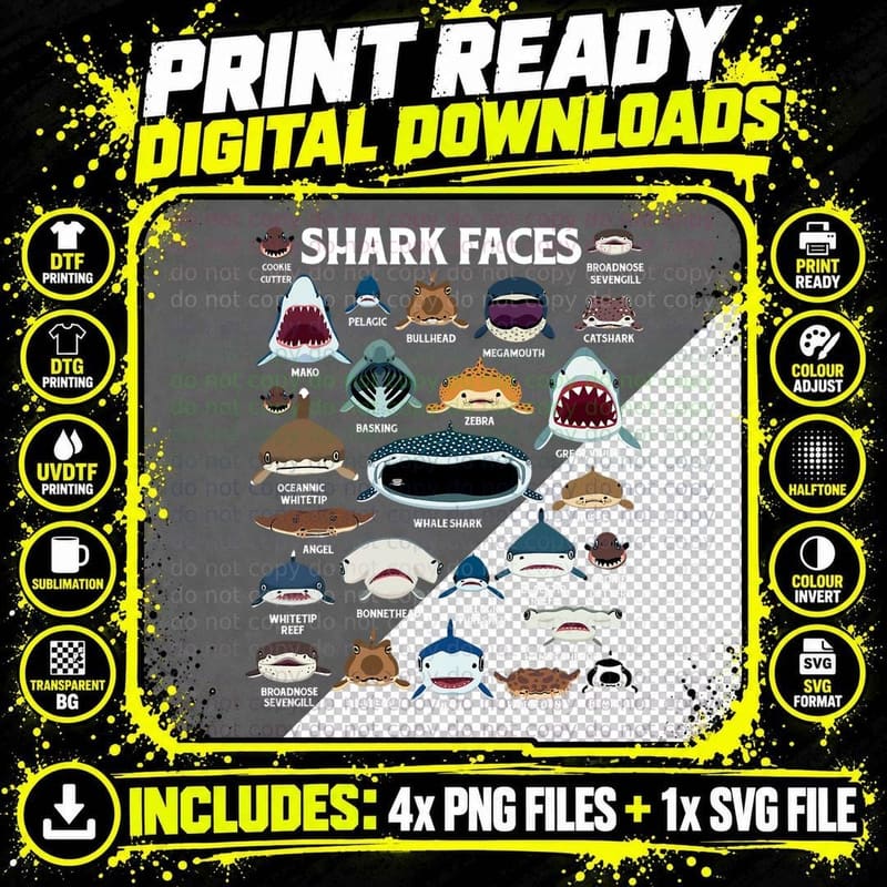 Types of Sharks Faces Identification Birthday School Kid Png SVG Digital Bundle