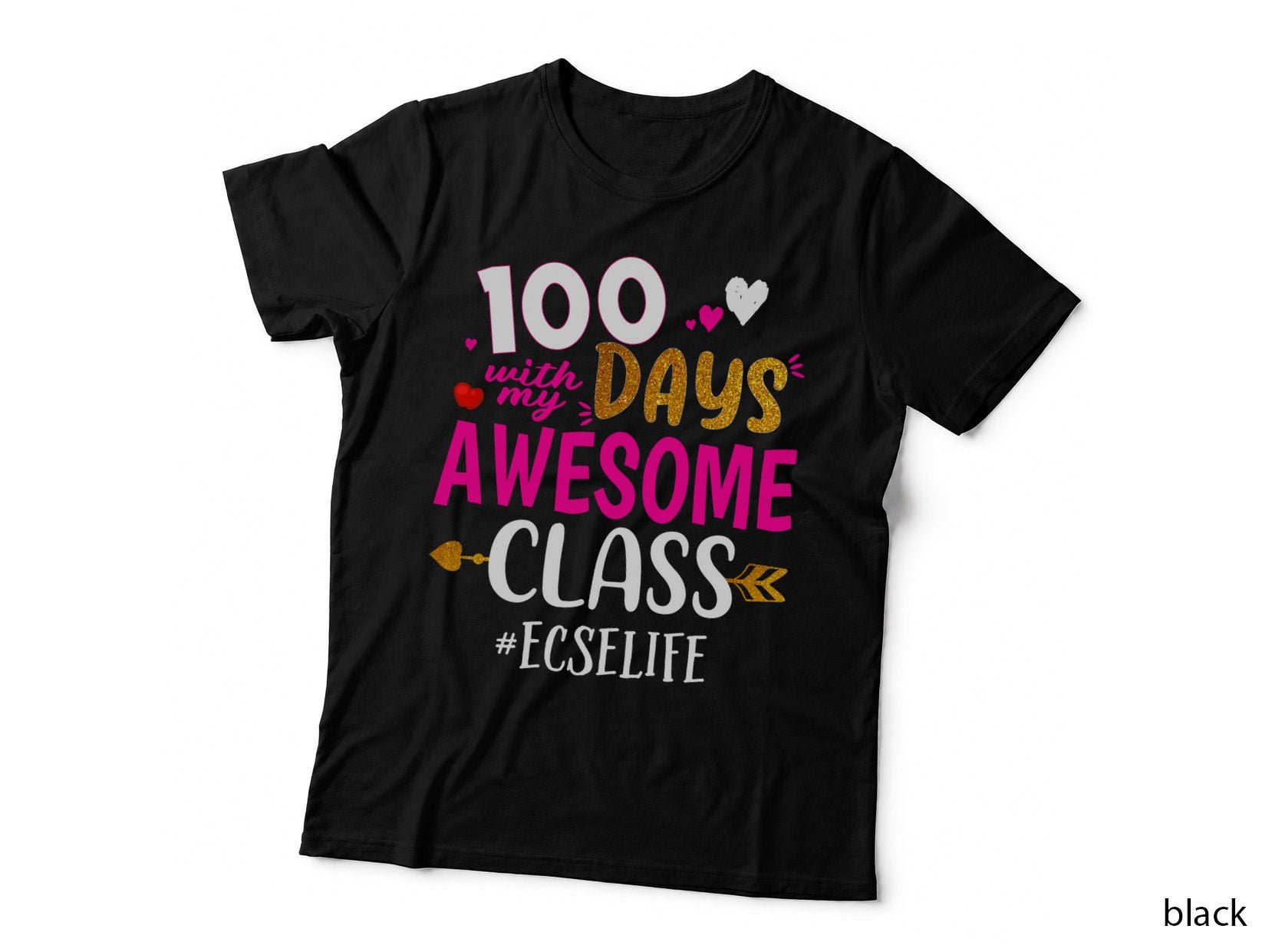 100 Days with My Awesome Class ECSE School T-Shirt