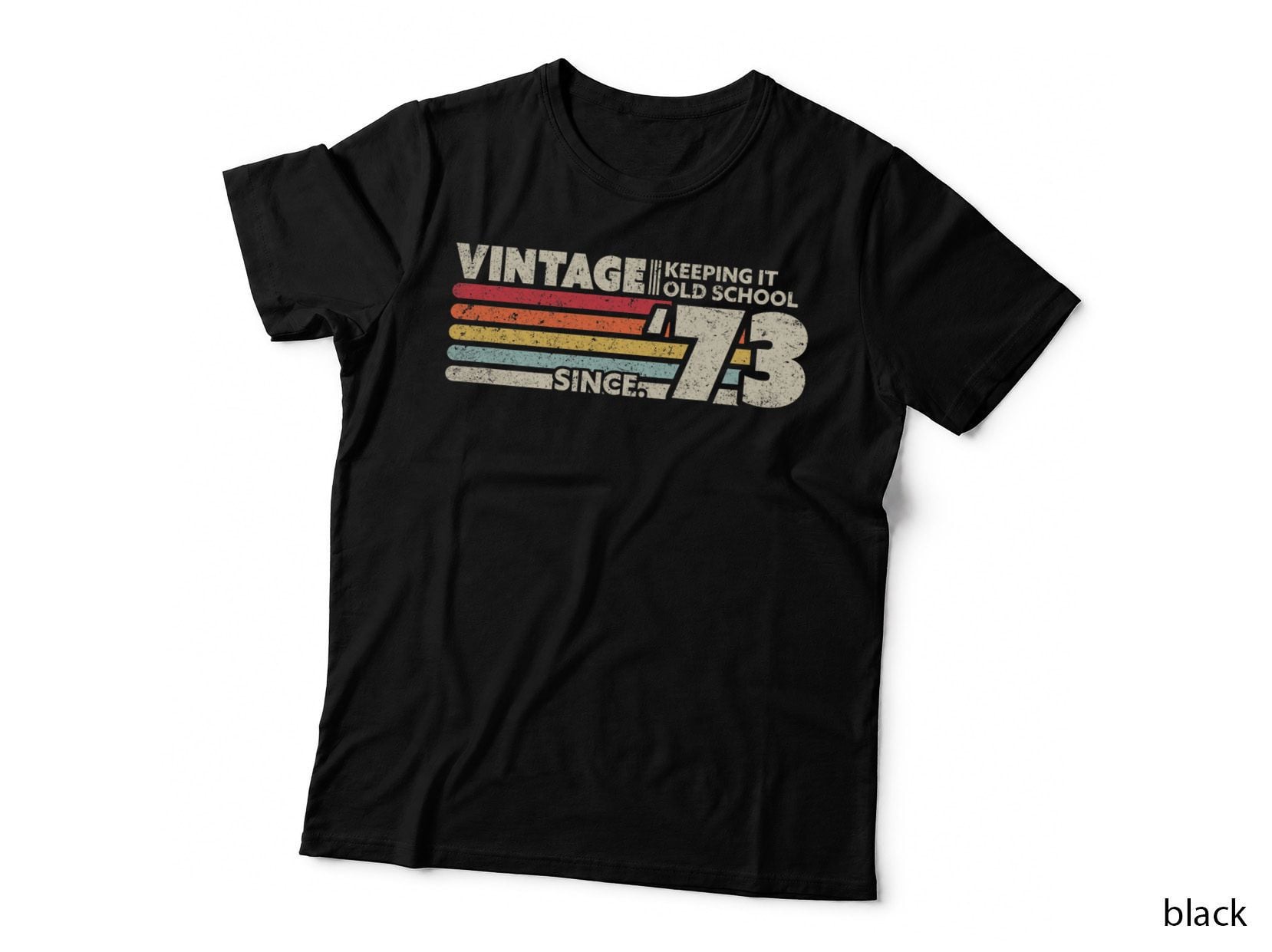 1973 Vintage T-Shirt, Keeping It Old School Since '73 Retro Birthday
