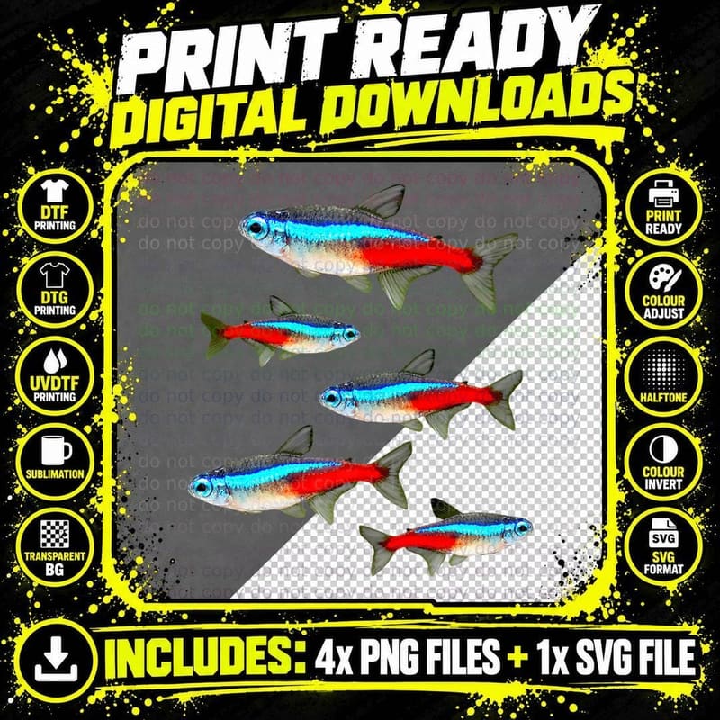Neon Tetras Aquarium Schooling Fish Lovers Png SVG Digital Bundle