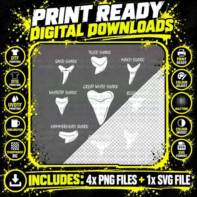 9 Types of Sharks Teeth Species Biology Life Tooth Png SVG Digital Bundle