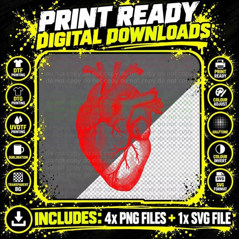 Anatomical Heart Design Scientific Biology Organ T-Shirt Png SVG Digital Bundle