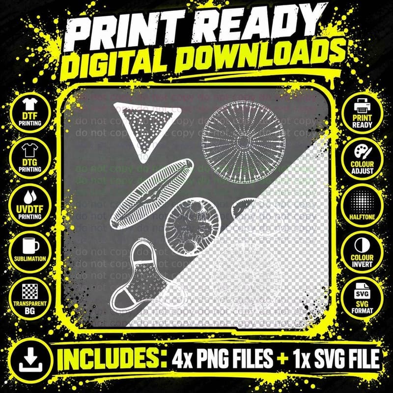 Diatoms Beautiful Science, Microscopic Art Png SVG Digital Bundle
