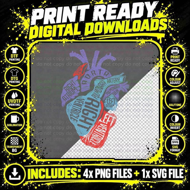 Heart Specialist Anatomy Doctor Medical Biology T-Shirt Png SVG Digital Bundle