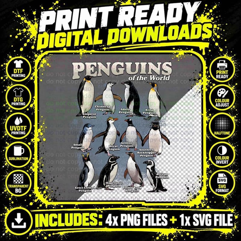 Penguin Animals of the World Marine Biology Penguin Png SVG Digital Bundle