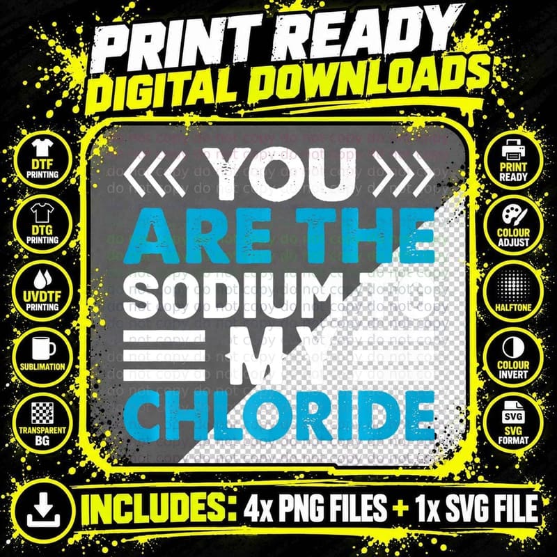 You Are the Sodium to My Chloride Chemistry Png SVG Digital Bundle