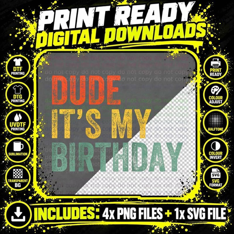 Dude Its My Birthday Funny Sarcastic Birthday Kids Boys Png SVG Digital Bundle