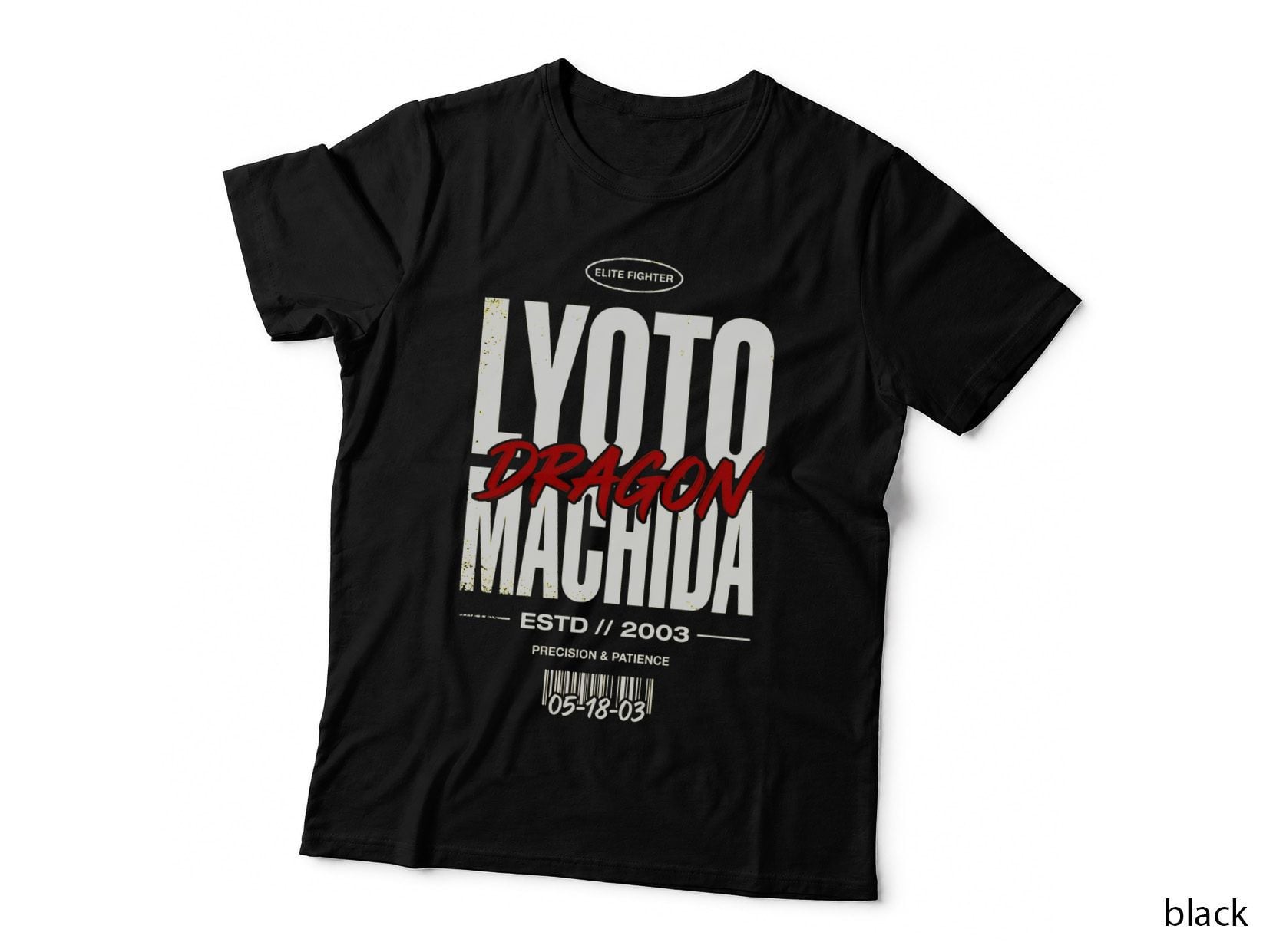 MMA Fighter T-Shirt, Dragon's Pride, Precision & Patience Apparel
