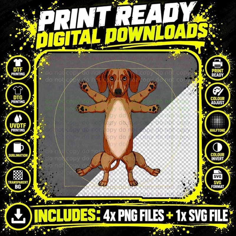 Vinci Teckel Vitruvian Dachshund Funny Vintage Dog Png SVG Digital Bundle