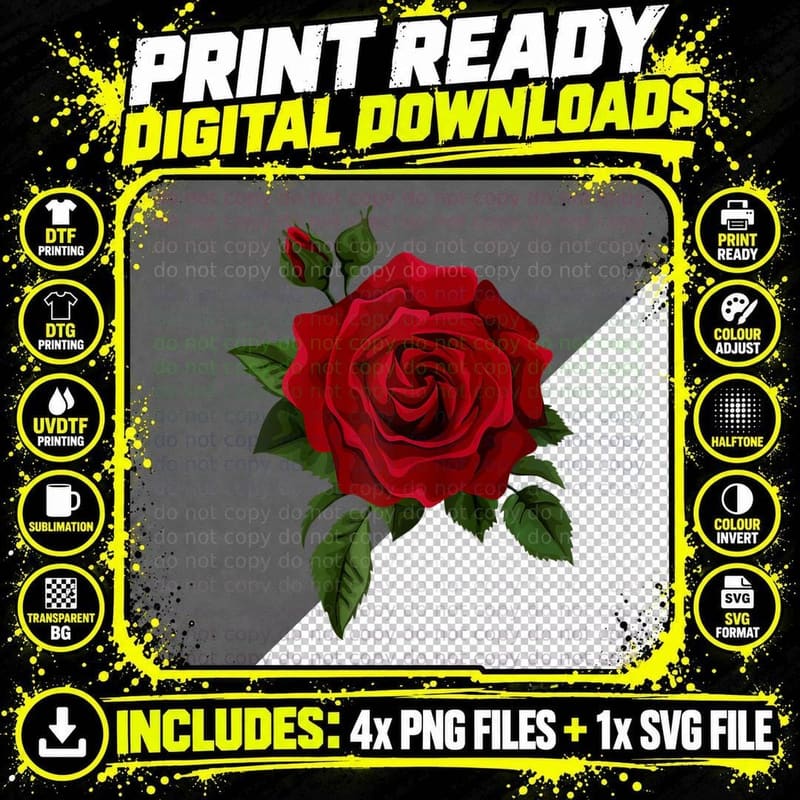 Single Red Roses Flower of Cute Red Roses Flower Png SVG Digital Bundle