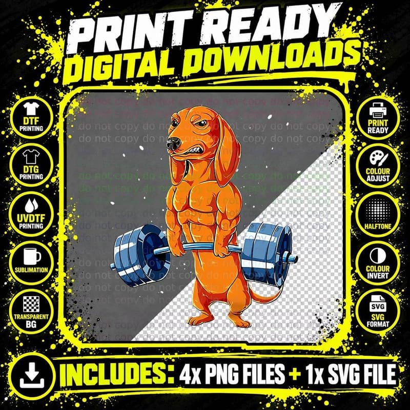 Gym Dachshund Weightlifting T-Shirt, Fitness Humor Png SVG Digital Bundle