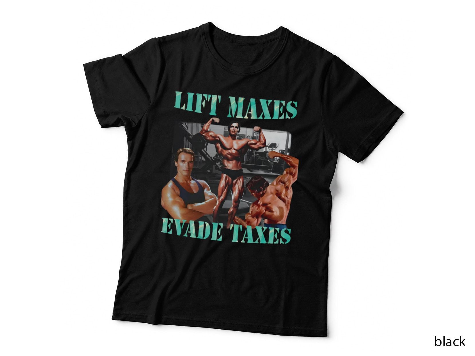 Lift Maxes Evade Taxes Arnold Bodybuilder Gym Humour Fan T-Shirt
