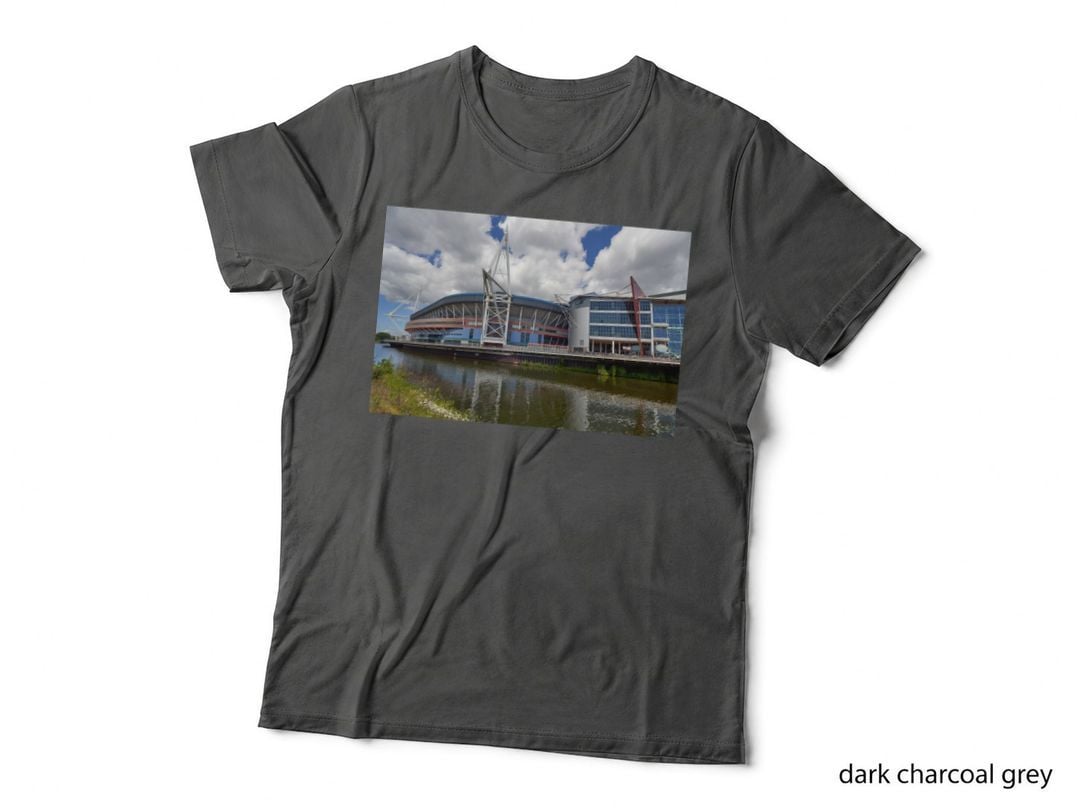 Principality Stadium, Cardiff, Wales Gift T-Shirt