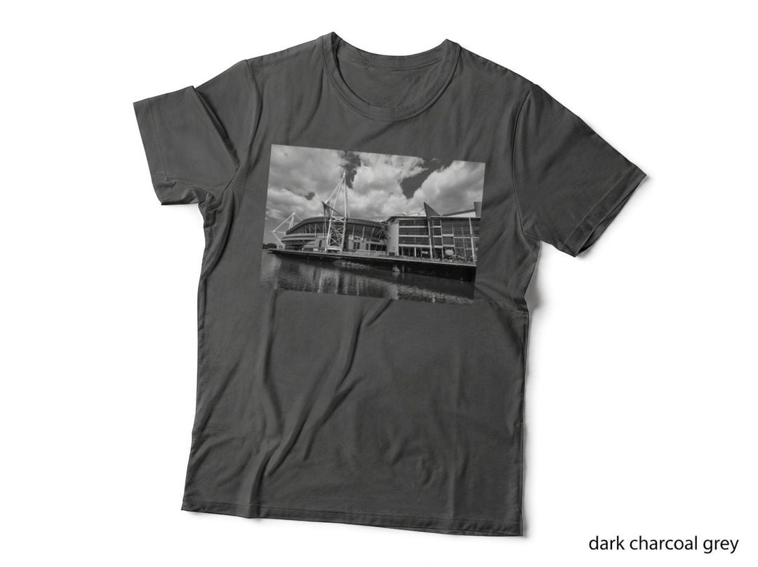 Principality Stadium, Cardiff, Wales Monochrome Premium Scoop T-Shirt