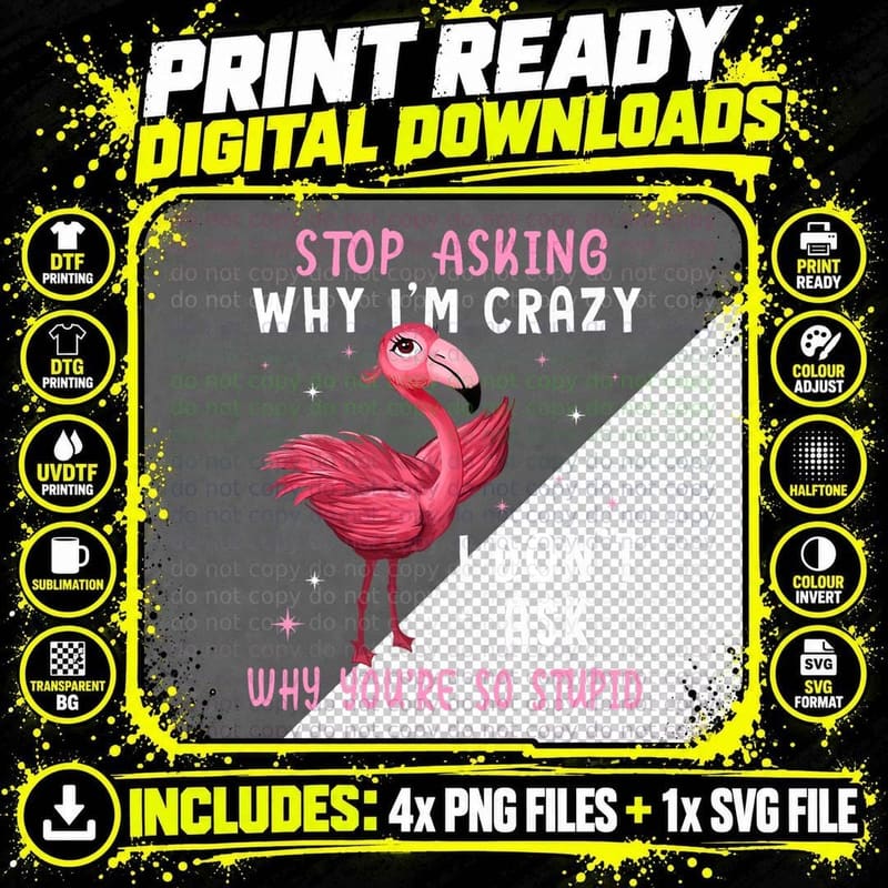 Stop Asking Why I'm Crazy You're So Stupid Pink Flamingo Png SVG Digital Bundle