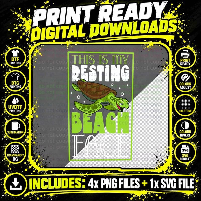 Turtle Turtles Sea Turtle Ocean Reptile Sealife Png SVG Digital Bundle
