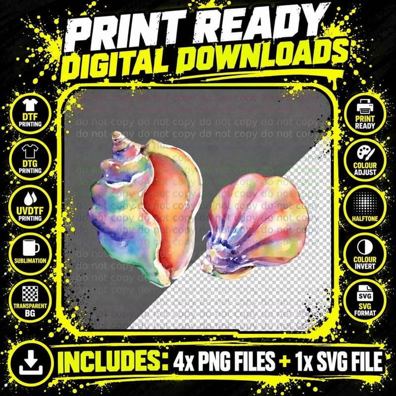 Watercolor Seashells Colorful Ocean Beach Art Sea Lover Png SVG Digital Bundle