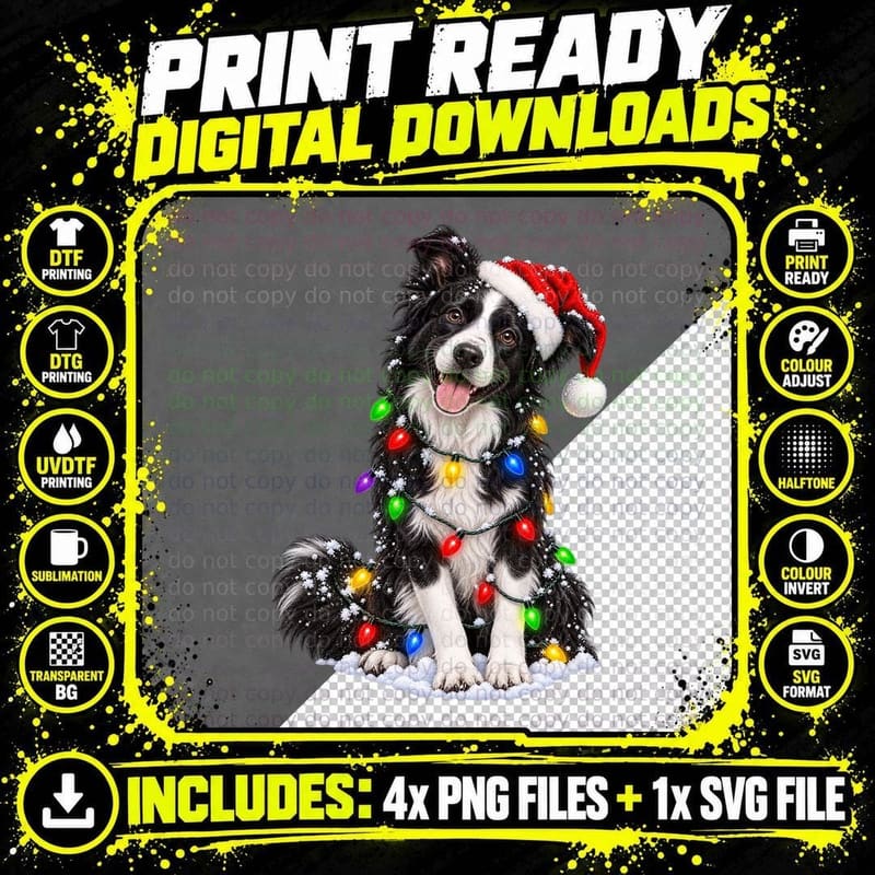 Border Collie Christmas Santa Hat Fairy Lights Snow Png SVG Digital Bundle