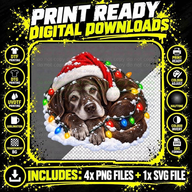 Old Labrador Christmas Santa Hat Fairy Lights Snow Png SVG Digital Bundle