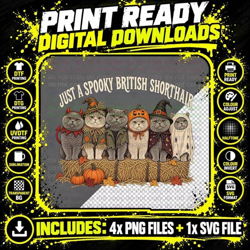 Just A Spooky British Shorthair Cats Halloween Costumes Scarecrow T-Shirt Png SVG Digital Bundle