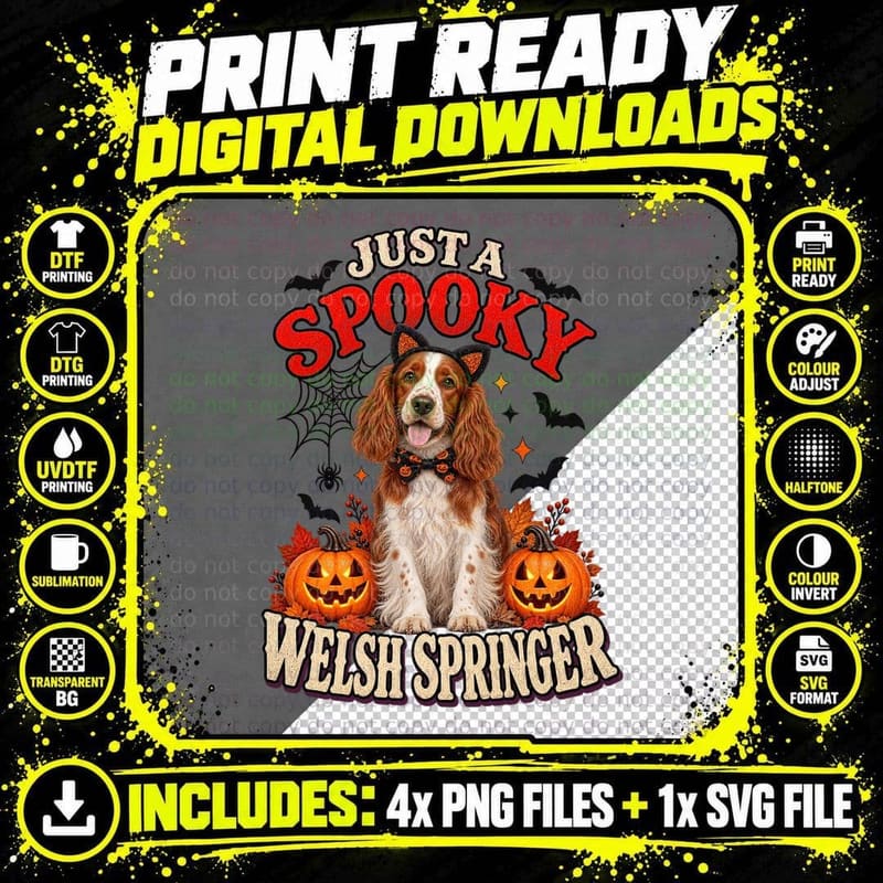 Halloween Welsh Springer Spaniel Spooky Cat Costume Png SVG Digital Bundle