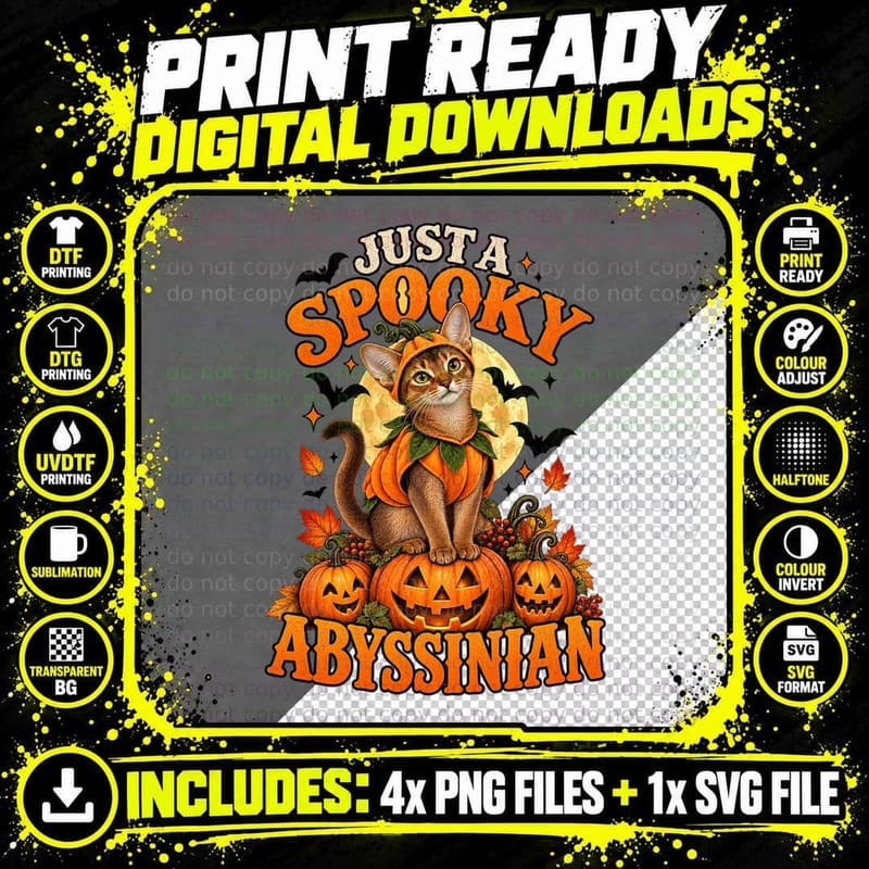 Spooky Abyssinian Cat Halloween Vintage Pumpkin Cat Png SVG Digital Bundle